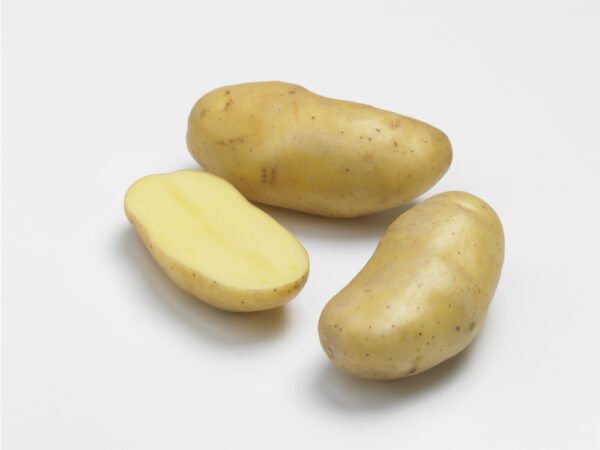 Pomme de terre Linzer Delikates