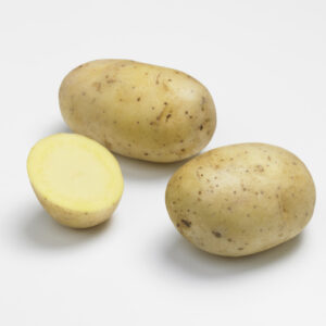 Pomme de terre agata