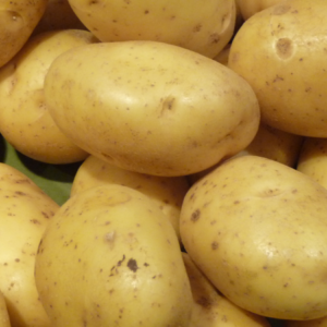 Pomme de terre monalisa