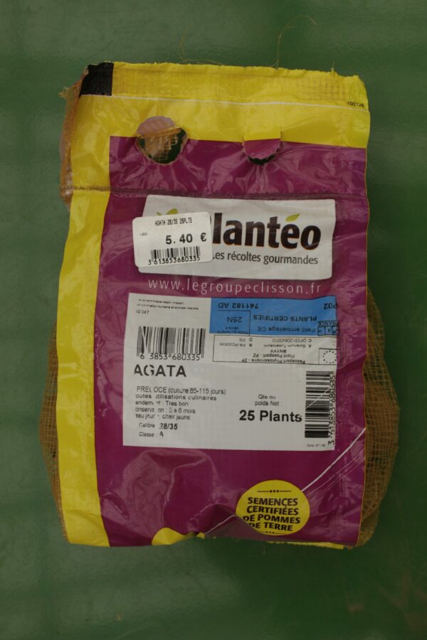 Pommes de terre Agata 28 35 25 plants Jardi Pradel