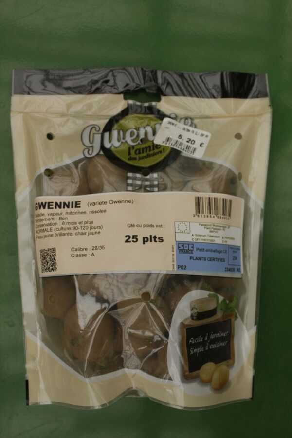 Pommes de terre Gwennie Bio 28 35 25 plants 1 Jardi Pradel