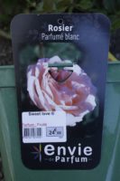 Rosier Parfume Blanc Sweet Love 2