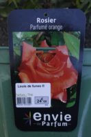 Rosier Parfume Orange Louis de Funes 2