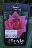Rosier Parfume Rose Parfum Royal Rose Ancienne 2