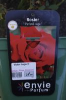 Rosier Parfume Rouge Victor Hugo 1