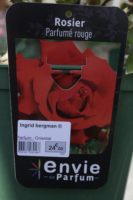 Rosier Parfume rouge Ingrid Bergman 2