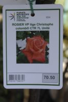 Rosier VP Tige Christophe Colomb 2