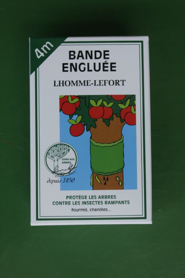 Bande Engluee Lhomme Lefort 4m 2 Jardi Pradel Luchon