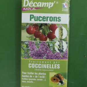 Decamp radical Coccinnelles contre pucerons 2 Jardi Pradel Luchon