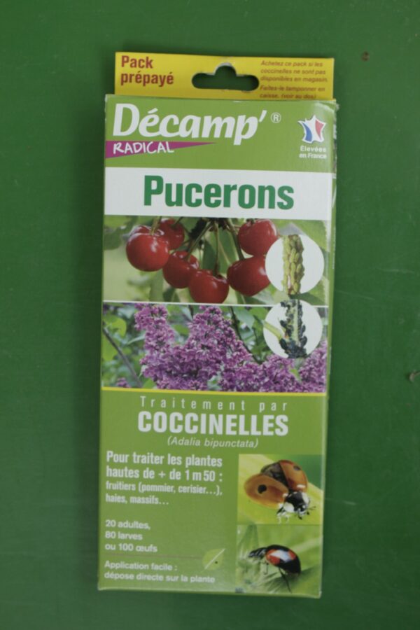 Decamp radical Coccinnelles contre pucerons 2 Jardi Pradel Luchon