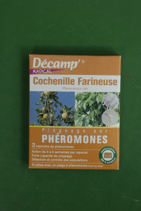 Decamp radical pheromone Cochenille farineuse 2 Jardi Pradel Luchon