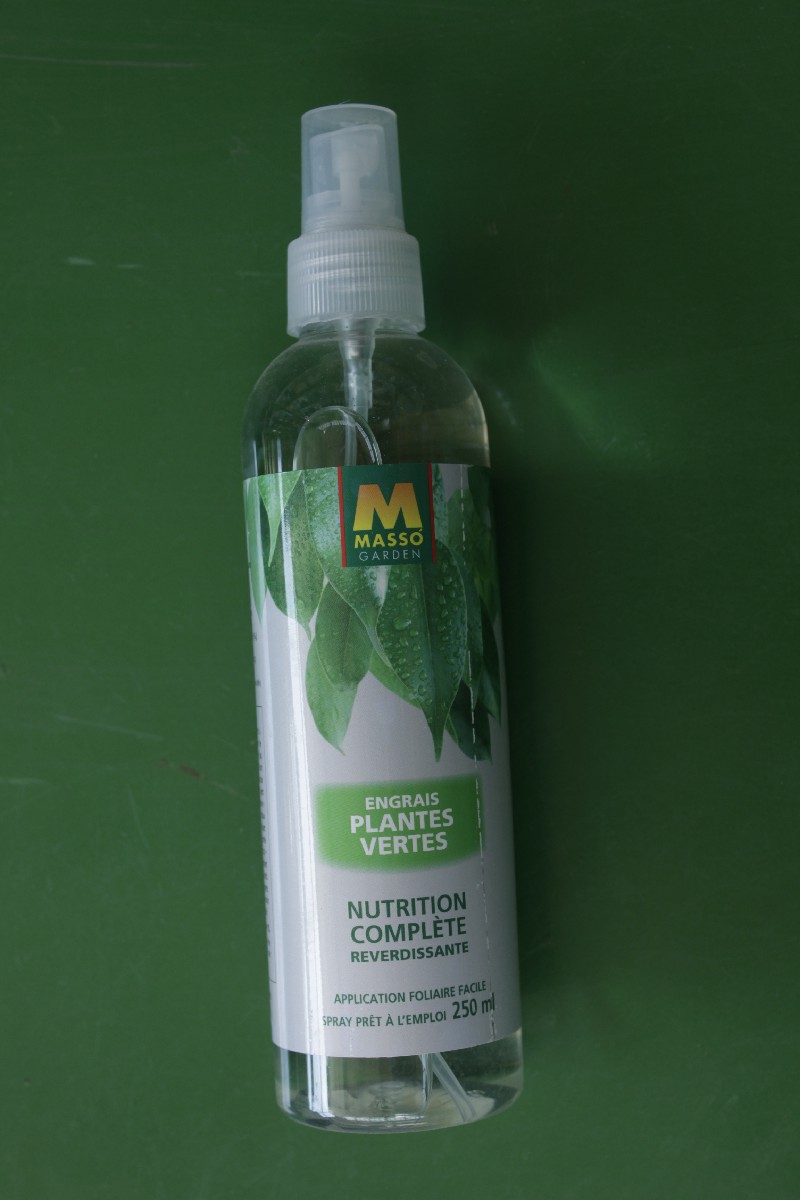 Engrais Foliaire Plantes Vertes Masso Garden 250ml - Jardi Pradel -  Jardinerie et fleuriste à Bagnères-de-Luchon