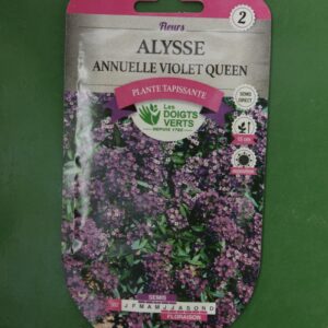 Graines annuelle violet queen Doigts Verts Jardipradel 2