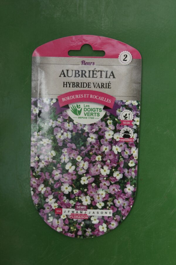 Graines aubrietia hybride varie Doigts Verts Jardipradel 2