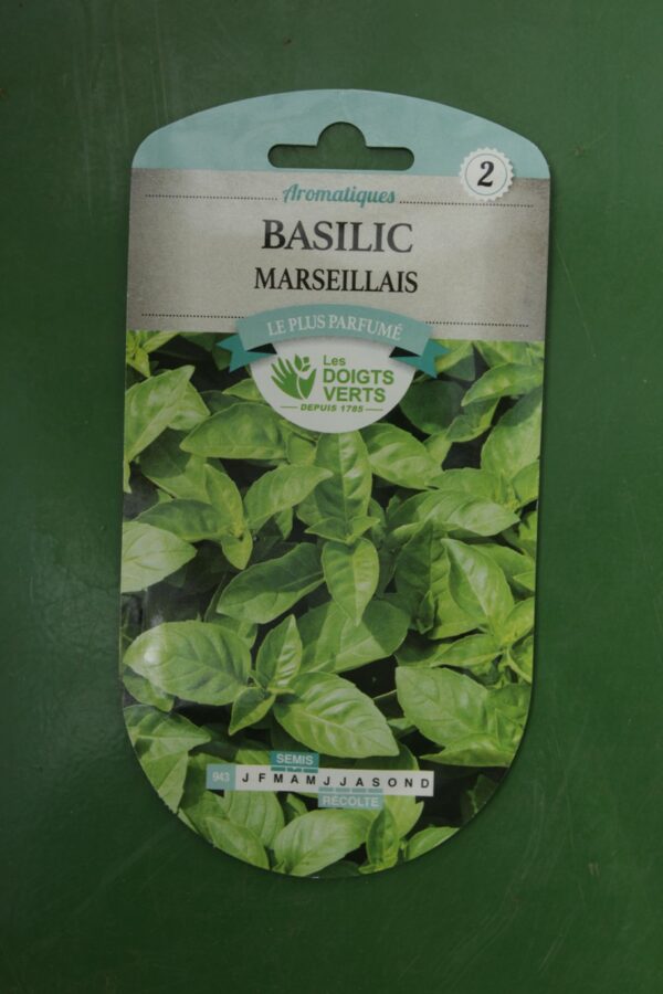 Graines basilic marseillais Doigts Verts Jardipradel 2