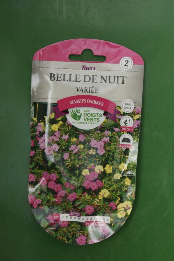 Graines belle de nuit variee Doigts Verts Jardipradel 2