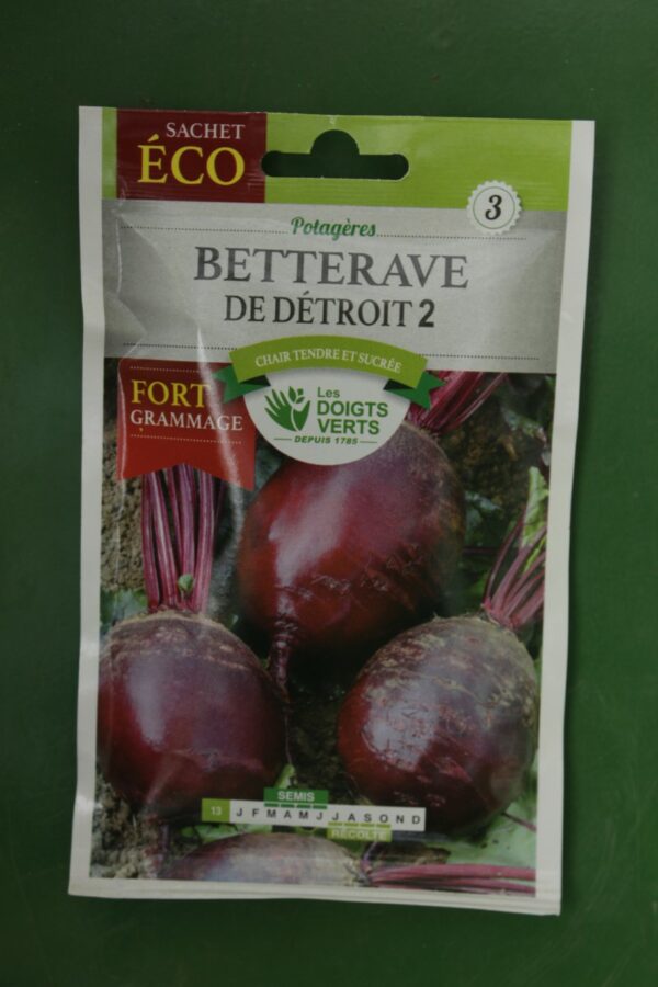 Graines betterave de detroit 2 eco Doigts Verts Jardipradel 2