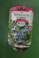 Graines bourrache officinale Doigts Verts Jardipradel 2