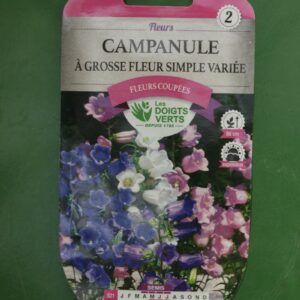 Graines campanule a grosse fleur simple variee Doigts Verts Jardipradel 2