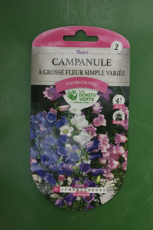 Graines campanule a grosse fleur simple variee Doigts Verts Jardipradel 2