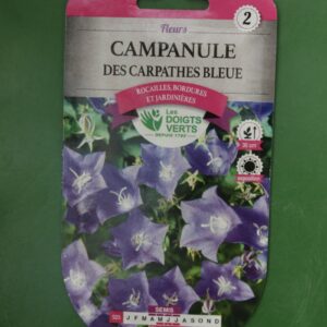 Graines campanule des carpathes bleue Doigts Verts Jardipradel 2