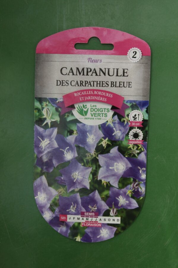 Graines campanule des carpathes bleue Doigts Verts Jardipradel 2