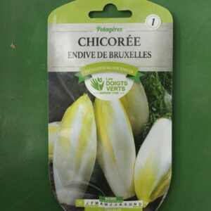 Graines chicoree endive de bruxelles Doigts Verts Jardipradel 2