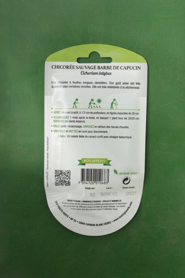 Graines chicoree sauvage barbe de capucin Doigts Verts Jardipradel 1