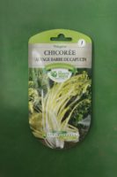 Graines chicoree sauvage barbe de capucin Doigts Verts Jardipradel 2