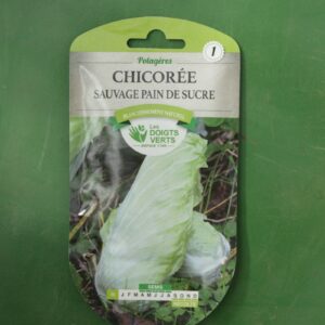 Graines chicoree sauvage pain de sucre Doigts Verts Jardipradel 2