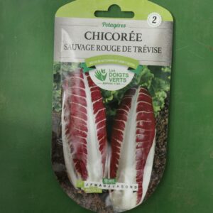 Graines chicoree sauvage rouge de trevise Doigts Verts Jardipradel 2