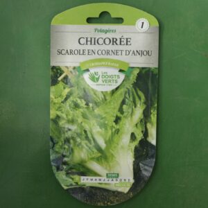 Graines chicoree scarole en cornet danjou Doigts Verts Jardipradel 2