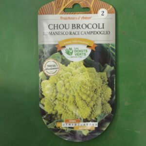 Graines chou brocoli romanesco race campidoglio Doigts Verts Jardipradel 2