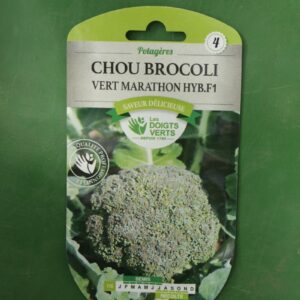 Graines chou brocoli vert marathon hybride f1 Doigts Verts Jardipradel 2