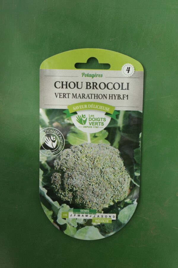 Graines chou brocoli vert marathon hybride f1 Doigts Verts Jardipradel 2