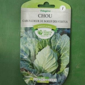 Graines chou cabus coeur de boeuf des vertus Doigts Verts Jardipradel 2