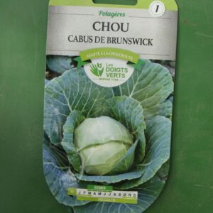 Graines chou cabus de brunswick Doigts Verts Jardipradel 2