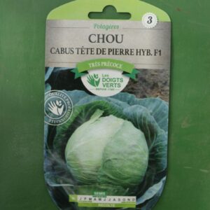 Graines chou cabus tete de pierre hybride f1 Doigts Verts Jardipradel 2