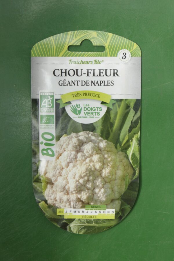 Graines chou fleur geant de naples Doigts Verts Jardipradel 2