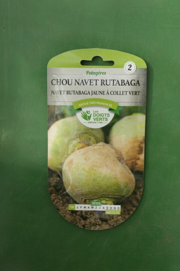 Graines chou navet rutabaga jaune a collet vert Doigts Verts Jardipradel 2