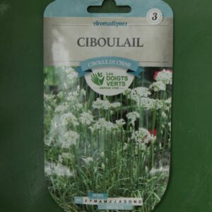 Graines ciboulail Doigts Verts Jardipradel 2