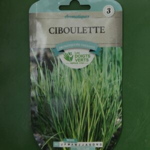 Graines ciboulette Doigts Verts Jardipradel 2