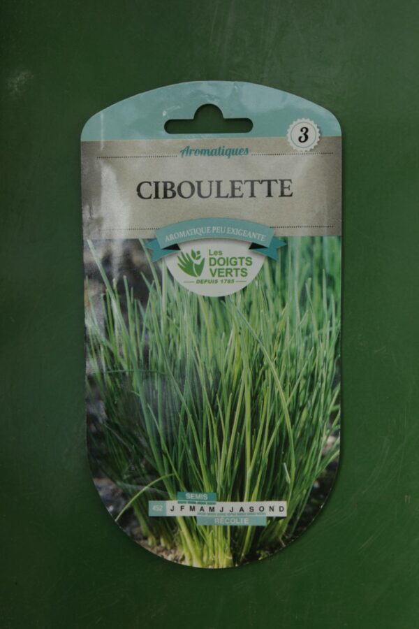 Graines ciboulette Doigts Verts Jardipradel 2