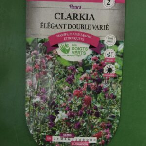 Graines clarkia elegant double varie Doigts Verts Jardipradel 2