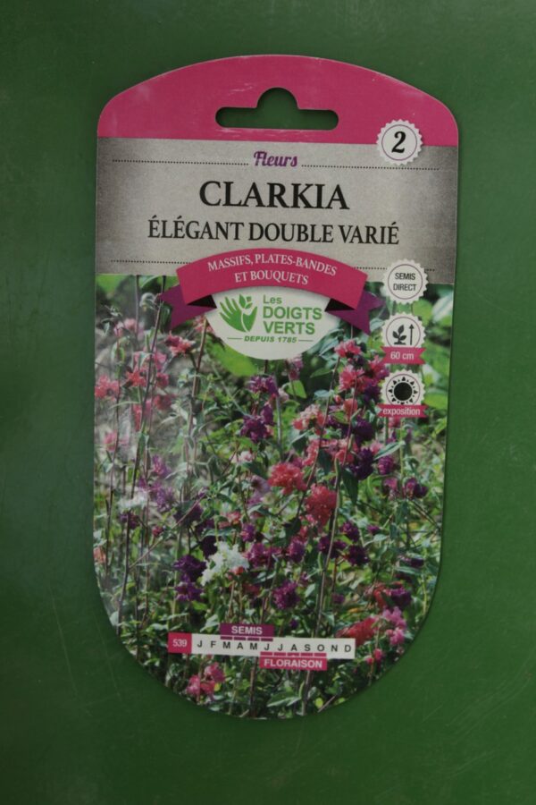 Graines clarkia elegant double varie Doigts Verts Jardipradel 2