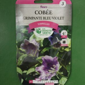 Graines cobee grimpante bleu violet Doigts Verts Jardipradel 2