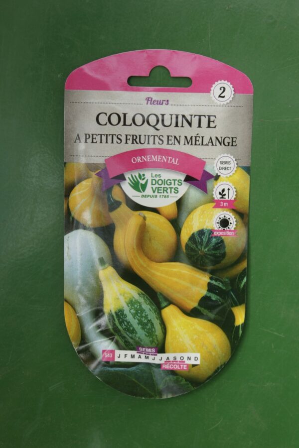 Graines coloquinte a petits fruits en melange Doigts Verts Jardipradel 2