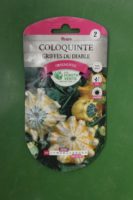 Graines coloquinte griffes du diable Doigts Verts Jardipradel 2