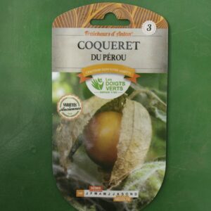 Graines coqueret du perou Doigts Verts Jardipradel 2