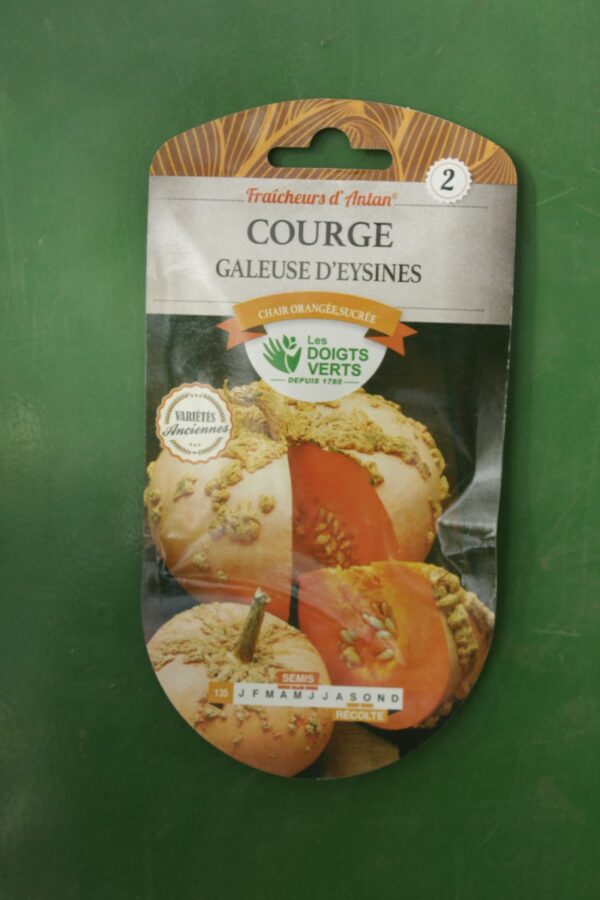 Graines courge galeuse deysine Doigts Verts Jardipradel 2